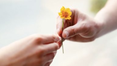 Il Counseling della Gentilezza: quanto è importante nella relazione terapeutica?