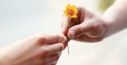Il Counseling della Gentilezza: quanto è importante nella relazione terapeutica?